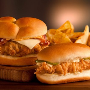 خدمات راه اندازی و تجهیزات فست فود