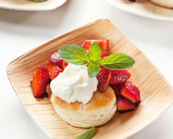 ظروف یکبارمصرف معمولی در برابر ظروف چندبارمصرف