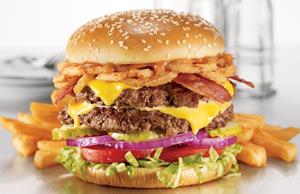 آشنایی مختصر با انواع فست فود