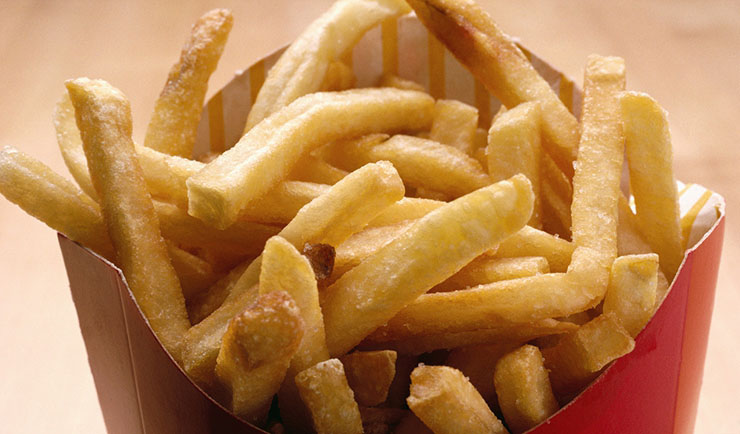 تجهیزات فست فود : سرخ کن صنعتی