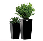 تجهیزات لابی